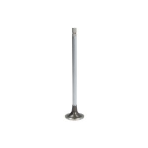 Einlassventil FP DIESEL 3685996-FP
