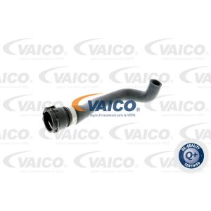 Kühlerschlauch VAICO V20-0900