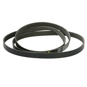 Cinghia Poly-V GATE 0285372-GAT