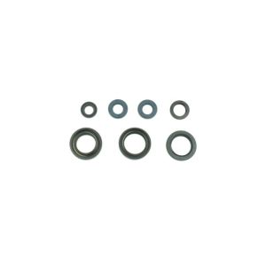 Kit de juntas do motor ATHENA P400485400210