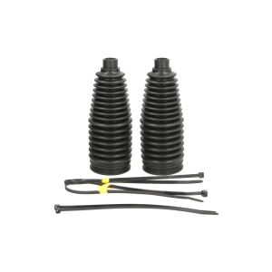 Set balgen, stuurinrichting DELPHI TBR4248