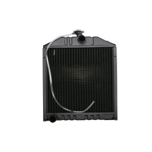 Radiador, arrefecimento do motor AKS DASIS 440098N