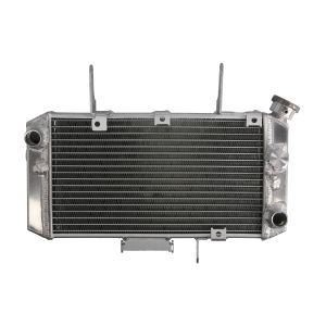 Radiador, arrefecimento do motor 4 RIDE RAD-698