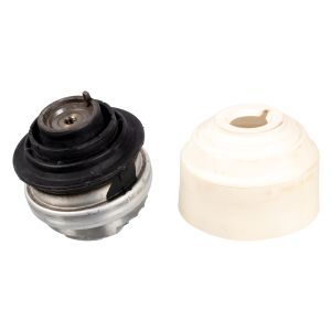 Suporte do motor FEBI BILSTEIN 109303
