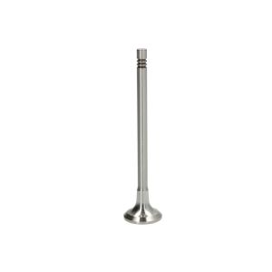 Einlassventil TRW Engine Components 539044