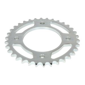 Pignone posteriore JTR 282,34