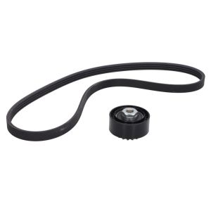 Cinto com várias nervuras (6PK1019)  CONTINENTAL 4PK905K1