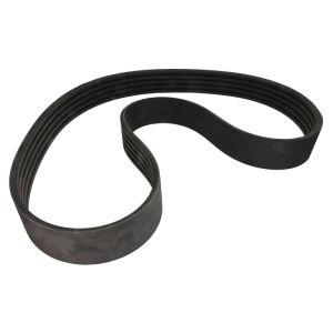 Correa poly V OPTIBELT 1004150AP