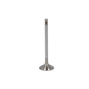 Einlassventil TRW Engine Components 471206