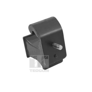 Suporte do motor TEDGUM TED95811