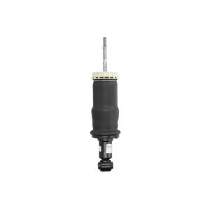 Amortecedor, suspensão de cabina SACHS 350 339