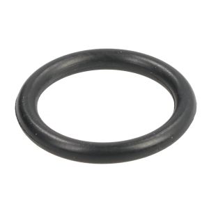 Elemento, differenziale CARRARO 28219-CR