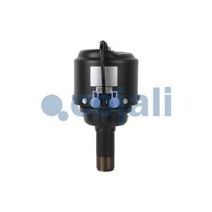 Cilindros de travão de mola COJALI 2351404