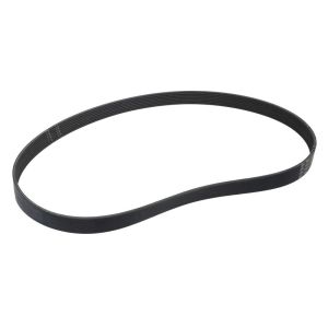 Correa poly V GATES 0285257-GAT