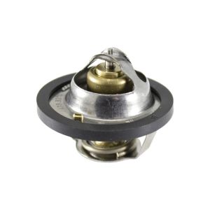 Termostato, refrigerante RMS  10 012 0320