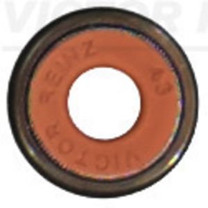 Vedante da haste da válvula REINZ 70-20419-00