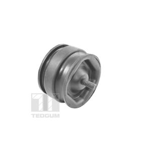 Motorträger TEDGUM 00221175