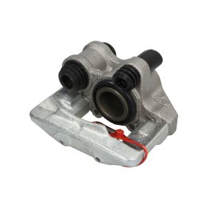 Jarrusatula LAUBER 77.0224