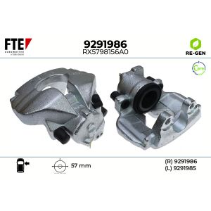 Jarrusatula FTE 9291986
