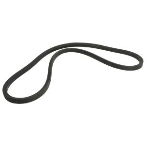 Correa poly V OPTIBELT 1000226AP