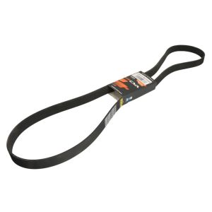 Cinto com várias nervuras em V CVA 320/08765 CVA