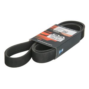 Cinto com várias nervuras em V CVA 320/08598 CVA