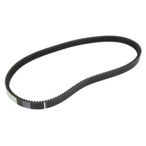 Courroie trapézoïdale OPTIBELT 1001000AP