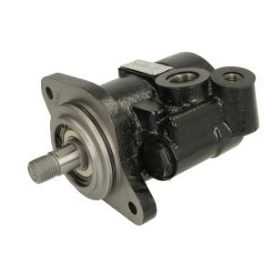 Pompa idraulica, sterzo DT Spare Parts 2.53200