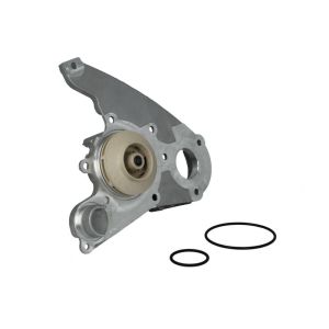 Kühlmittelpumpe OMP 197.425