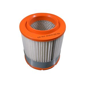 Luftfilter BLUE PRINT ADV182249