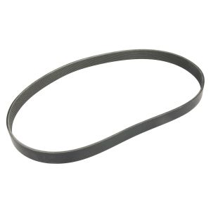 Cinghia Poly-V GATES 0242166-GAT