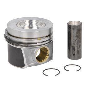 Êmbolo NE 130050060500