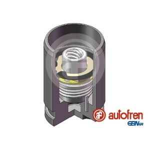 Piston, étrier de frein AUTOFREN SEINSA D025340K, Arrière