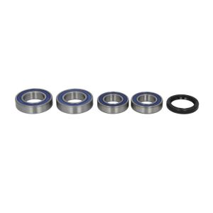Jeu de roulements de roue ALL BALLS AB25-1668