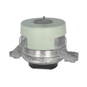 Suporte do motor REINHOCH RH11-3177