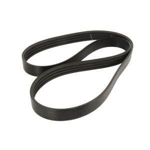 Cinto com várias nervuras em V GATES 0225324 EE-TECH-GAT