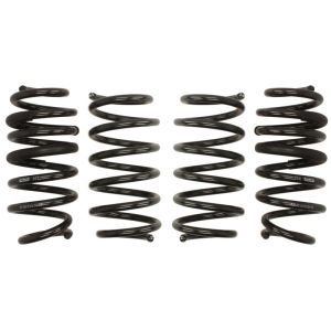 Kit de suspensão, molas EIBACH Pro-Kit E10-10-013-01-22