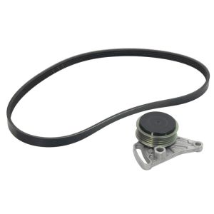 Cinto com várias nervuras (6PK1019)  INA 529 0099 10