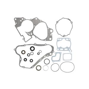 Set di guarnizioni, motore WINDEROSA W811505