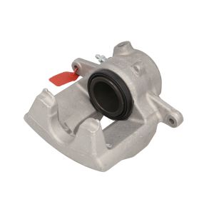 Jarrusatula LAUBER 77.3539