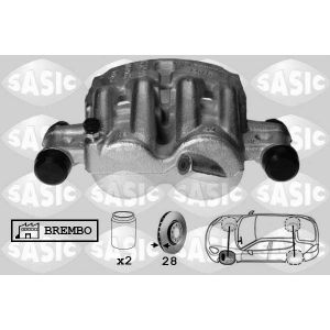 Jarrusatula SASIC 6500062