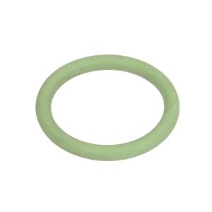 Getriebe O-Ring EURORICAMBI 88530845