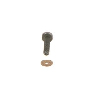 Tornillo, sistema de inyección BOSCH F 00N 202 193