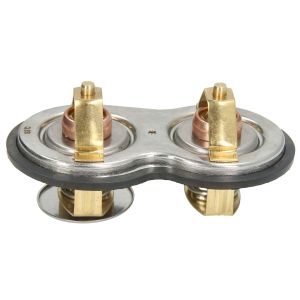 Thermostat, Kühlmittel SRP 21773551