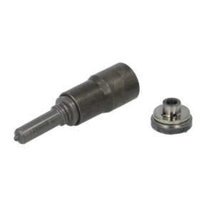 Element, Pumpendüse DELPHI 28425043