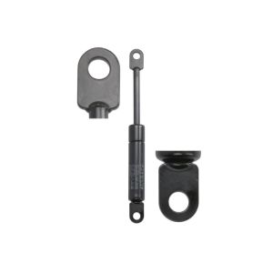 Resorte de gas STABILUS 192805