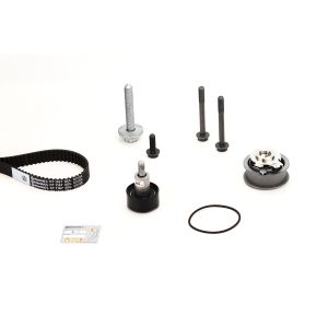 Jeu de courroies dentées CONTINENTAL CT1167K6