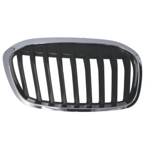 Grille de radiateur BLIC 6502-07-0071994P