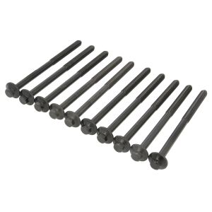 Kit de parafusos, cabeça do cilindro REINZ 14-18424-02