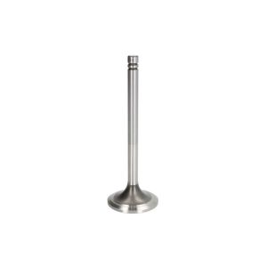 Auslassventil IPD PARTS 8N0875-IPD